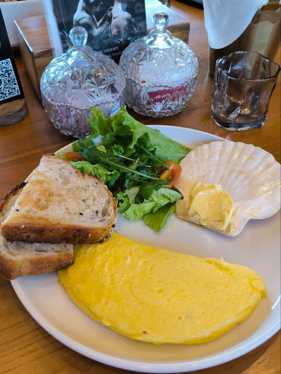breakfast plate with toast, omelette, salad, and sauce